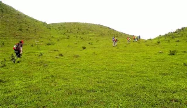 广东的草原在哪,广东附近哪里有草原