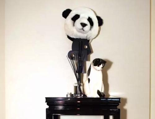 王思聪赵丽颖冯绍峰,李易峰王思聪赵丽颖