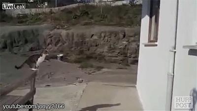 技能贴！教你如何和男朋友分手