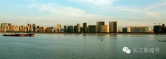 去不了杭州就来杯龙井,去不了杭州