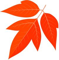 赵玉茹,赵玉茹所有的作品