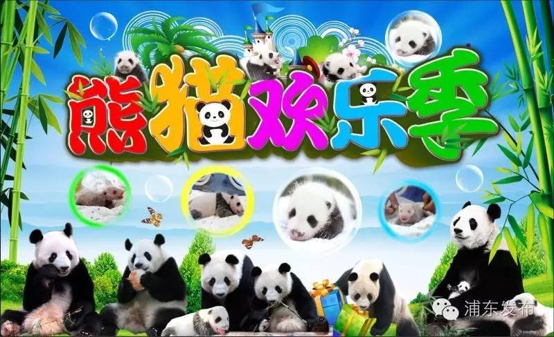 浦东的旅游攻略有哪些,浦东一日游免费景点有哪些