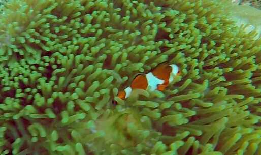 亚庇ow考试流程,亚庇ow多少钱