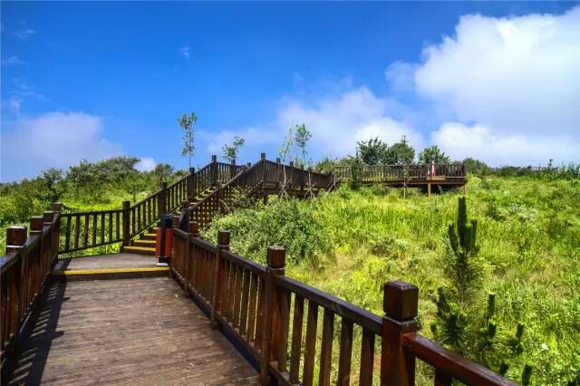 洛阳明天有哪些景点开放,洛阳必去的三个景点免费开放