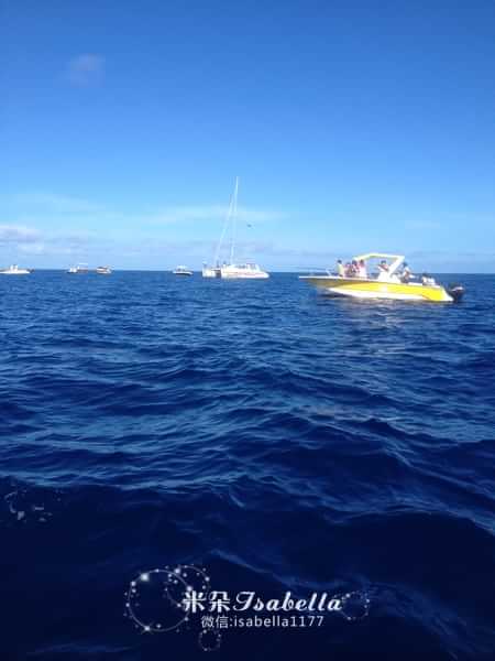 毛里求斯的日常,孤独的毛里求斯