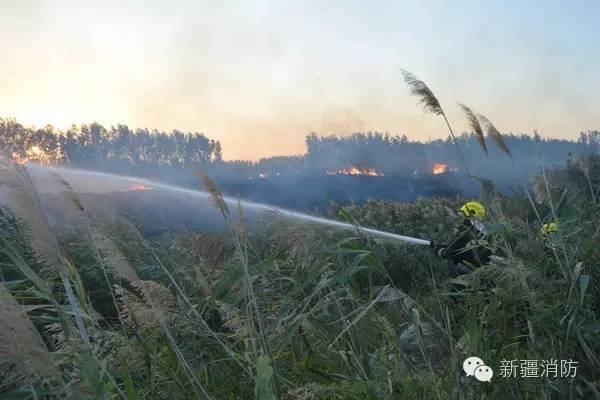 野外着火归哪个部门管,野外着火怎么最快灭