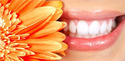 健康口腔保护牙齿,健康口腔龋齿