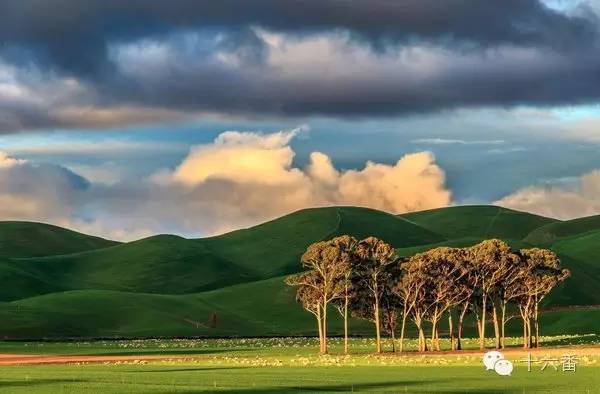 一张照片一段时光油画,随手一拍都是一幅画