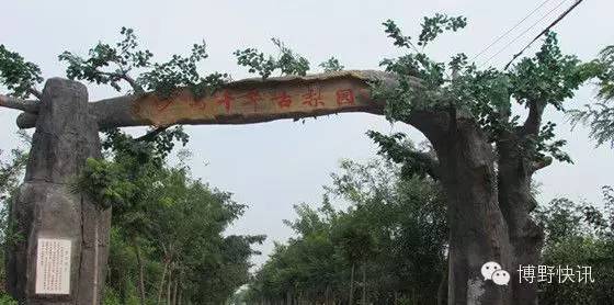 26个英文字母，带你绕着博野走一圈！