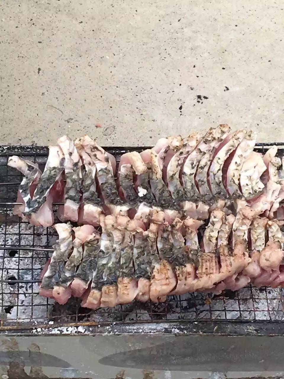 暂存于这个世界的我们，踏寻被遗忘的文化密码