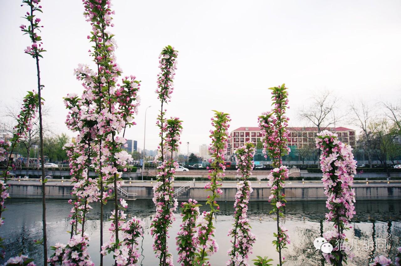 车棚放车,车棚躲雨冰雹