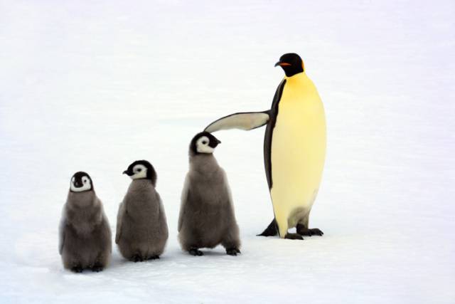 身价数十亿的他除了去无人区摄影，险些丧命，还用了6年时间和30多位石艺老匠人打造了一家不想挣钱的艺术馆