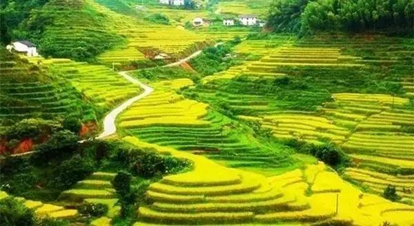 江西10.1小众自驾游路线推荐,江西最好的10条自驾游线路