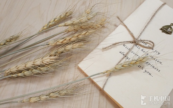 小米5s性能2021,小米5s评测科技美学