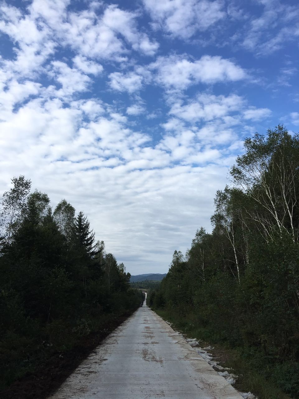 暂存于这个世界的我们，踏寻被遗忘的文化密码