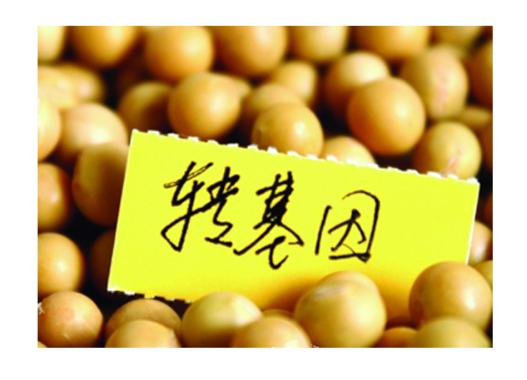 吃卵磷脂的好处和坏处是什么 (药用卵磷脂和保健卵磷脂有啥区别)