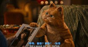 就让加菲毁掉你的中秋吧喵哈哈哈