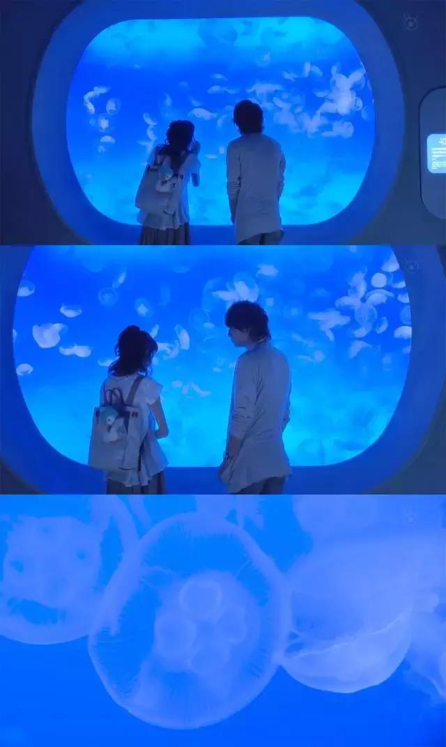 女孩子去海洋馆穿什么,带女生去海洋馆合适吗