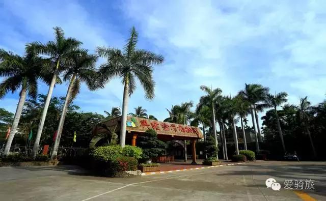 海南环岛游打卡椰林湾,海南椰林游记