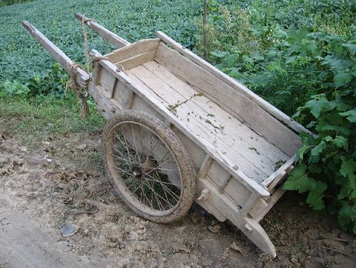 这十个最常见的农活你干过几个,农村比较辛苦的农活有哪些