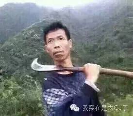 林心如鸡汤 (林心如妈妈的故事是怎样的)