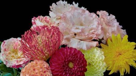 海信实力高光时刻,海信从孤注一掷到全面出击