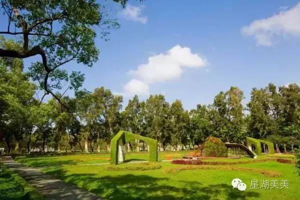 从肇庆坐高铁到佛山要多少钱,从肇庆坐高铁到澳门