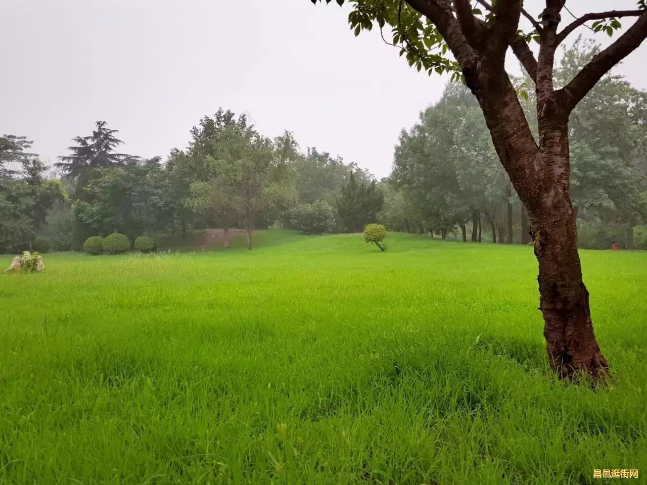 潍坊昌邑，一座如此好色之城，我的家乡我骄傲