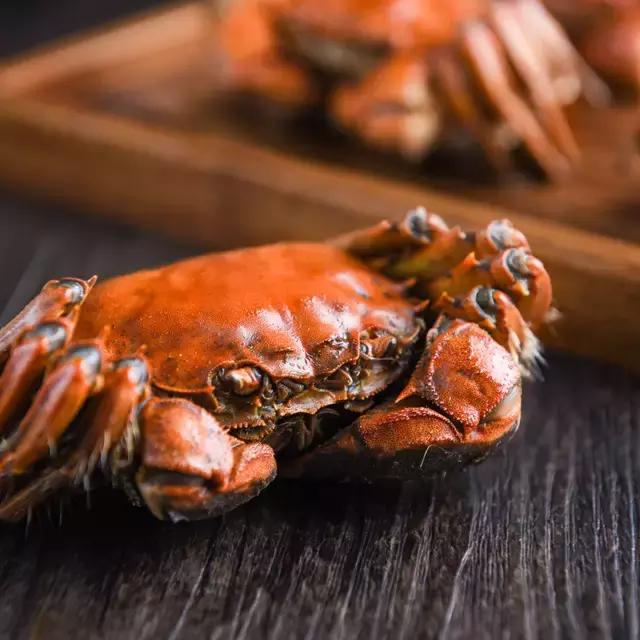 阳澄湖大闸蟹的未解之谜,阳澄湖大闸蟹怎么保证不死