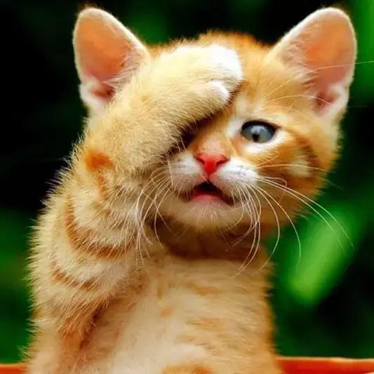 经典哲理句子金句,经典谚语精辟的短句