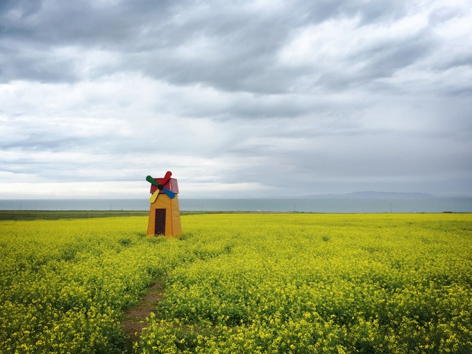 青海大西北之旅 (西宁青海湖张掖敦煌夏季之旅)
