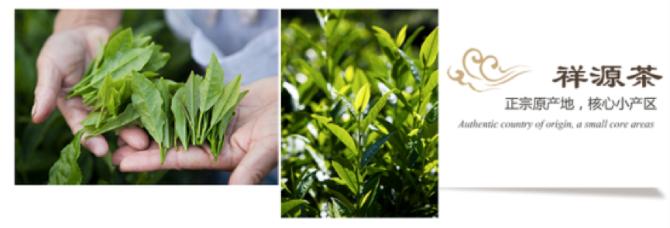 五虎上将普洱茶2006,五虎上将普洱