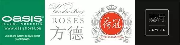 一场浪漫的纯欧风婚礼,洛可可欧式复古婚礼