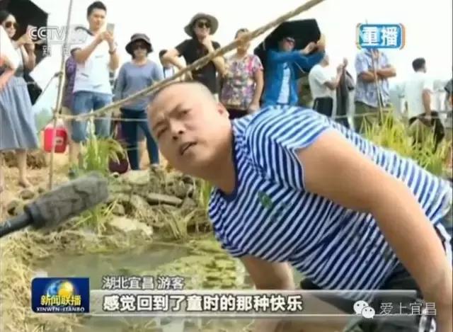 宜昌中秋观景赏月,宜昌中秋旅游人次多少