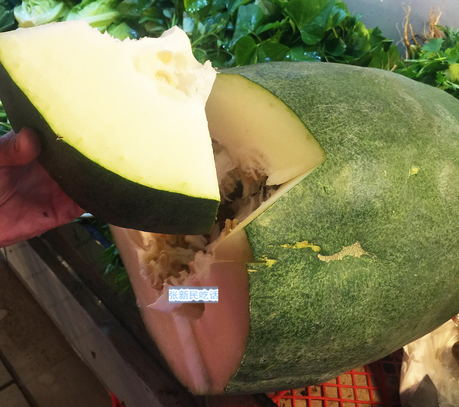 八大菜系之浙菜五彩冬瓜盅,有哪些好看又好吃的冬瓜品种