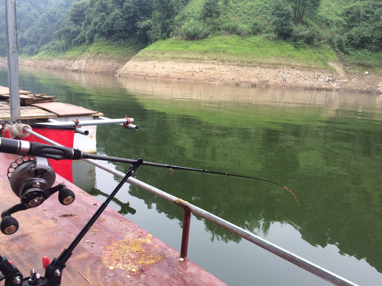 五强溪探钓大物,五强溪筏钓比赛