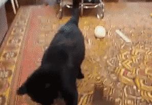 哎呀亲家母,不要不要我不要红包,别给我,你看你非要给我干嘛