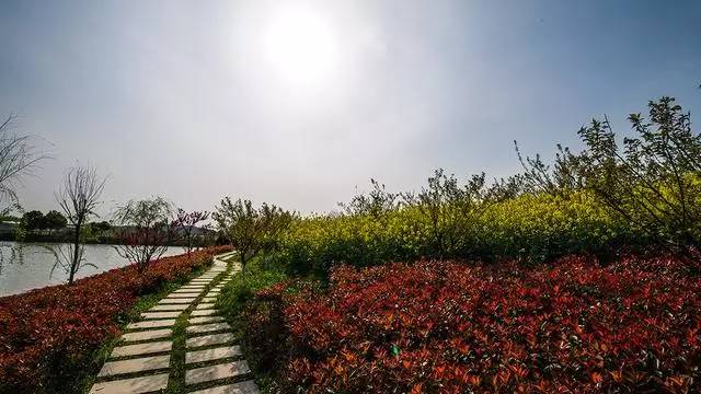 南京国庆假期有哪些免费景点推荐,国庆期间南京有哪些景点免费