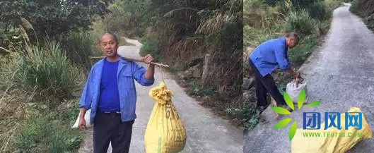 团风深山古稀老人的板栗梦.....