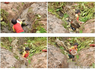 小时候捉鱼的正确方法,在农村捉鱼