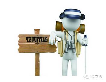 菜农怎么做电商赚钱快,做农业电商需要什么流程