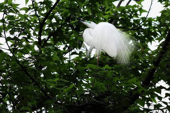 佛教参观景德镇,淄博佛教故事