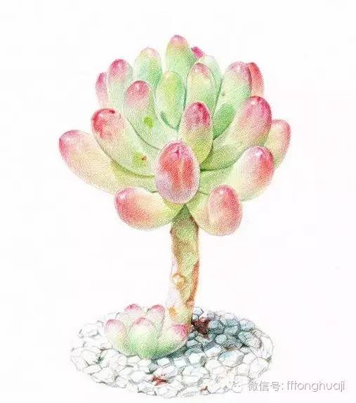 儿童画画适合的画笔,儿童绘画颜料画教程简单