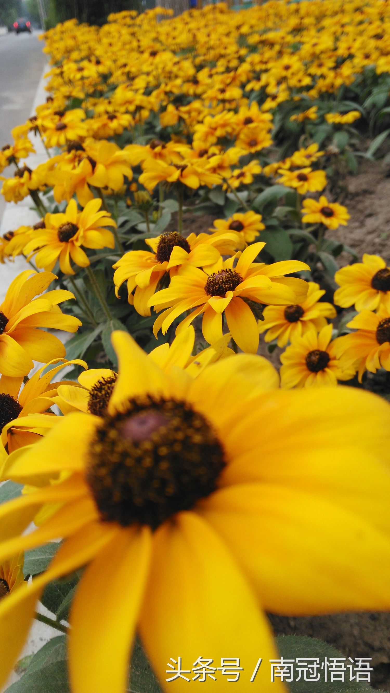 浓浓的姐妹亲情感悟,感悟亲情共度中秋