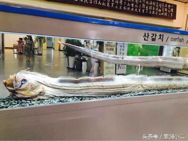 和闺蜜第一次出国,自由行游韩国济州岛