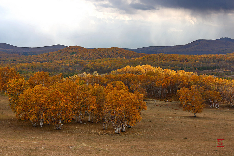 坝上草原雪景航拍,坝上草原秋景美图