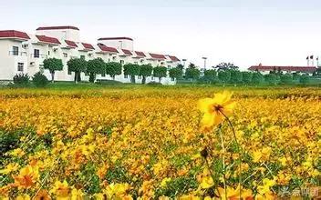 惠州游玩攻略自由行最佳路线,惠州旅游攻略一日游最佳路线