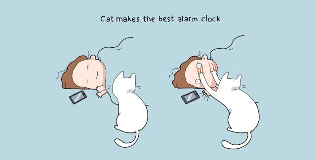 从把它带回家的那一刻起，相信你的生活就已经变了​