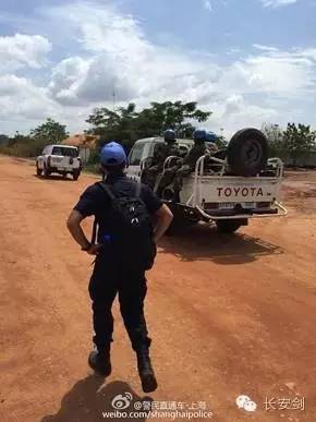 南苏丹维和故事：拯救“总指挥”“鸡毛信”营地捣乱的狒狒