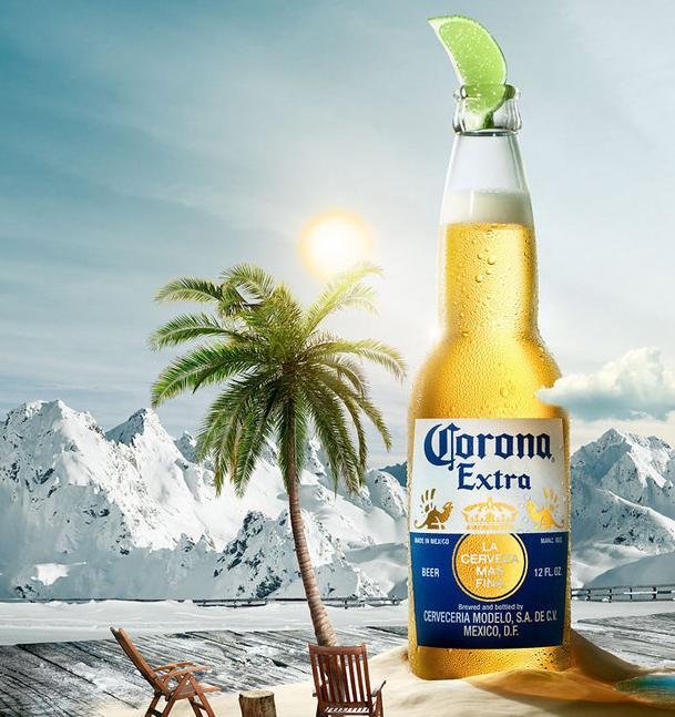 花卉里有小黑虫怎么办,家里养绿植怎么避免生虫